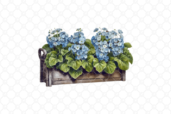 Download Flower PNG, Blue Hydrangea PNG, 006 - Premium Resources